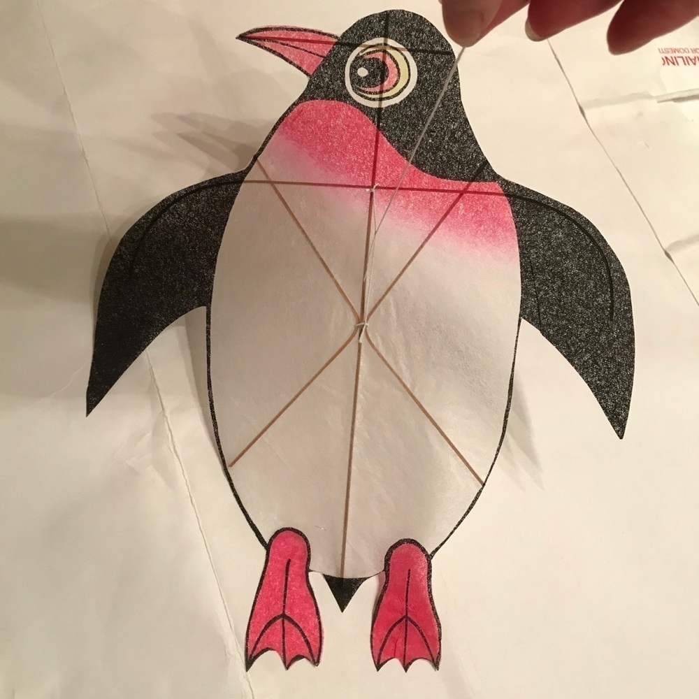 🔥 ON SALE 🔥 💖 Chinese Handmade Kite without spool